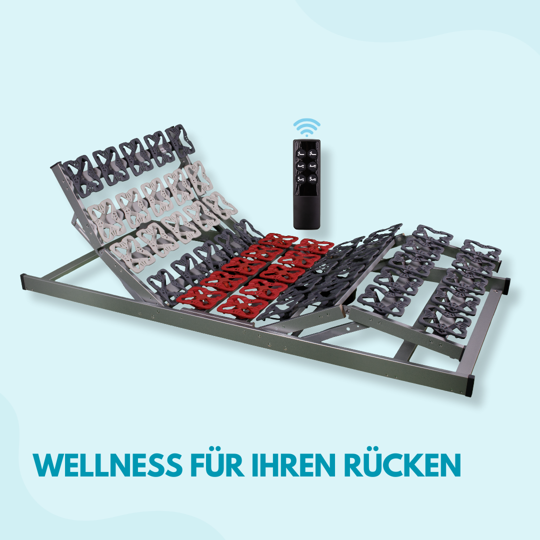 Elektrischer Tellerlattenrost mit Motor Tellerrost