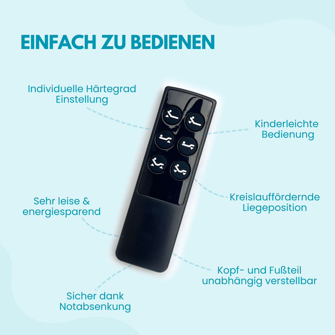 elektrischer tellerlattenrost